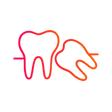 Wisdom teeth icon